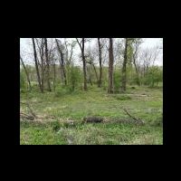 img-20250418-wa0110.jpg