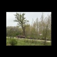 img-20250418-wa0112.jpg