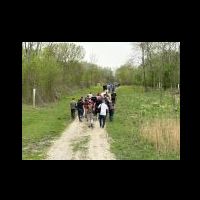 img-20250418-wa0115.jpg