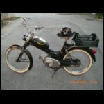 Gogo Moped